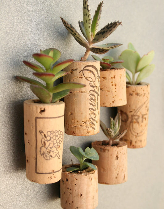 mini cork planters