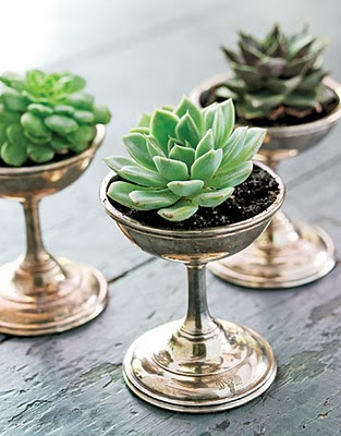 Belle Inspirations: CREATIVE GARDENING!
