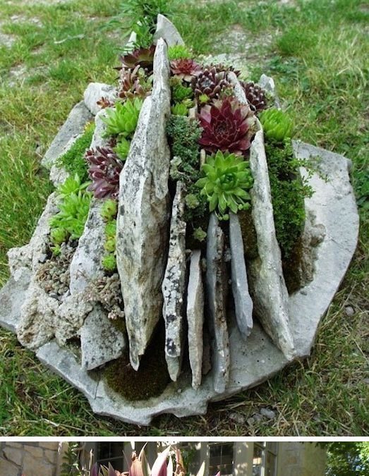 rock meets garden | INSPIRED thinking