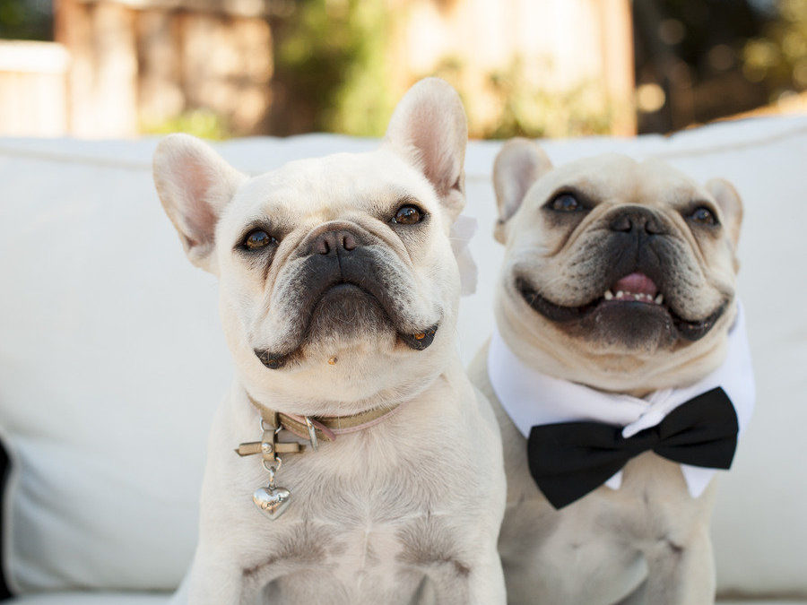 30 Details We Love for Classic and Traditional Weddings