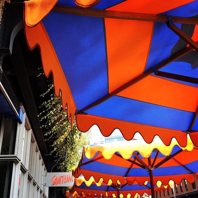 #flashbackfriday missing #nyc + all the delicious food we enjoyed! especially #santina a true experience for the senses.