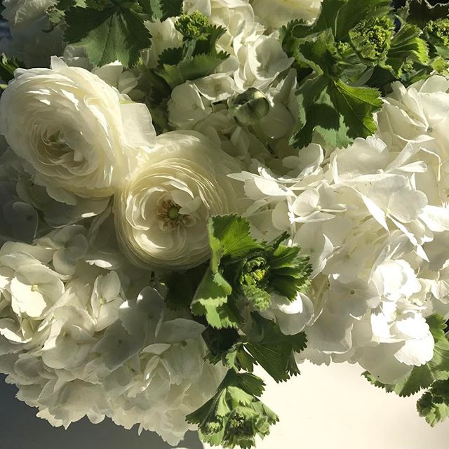 fresh flowers put a smile on our faces, especially these sweet little ranunculus blooms w/germanium leaves + hydrangeas. #hellospring