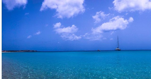 #daydreaming of the beautiful blue sky, gentle sea and the warm, salty breeze of #anguilla #sundaymood #desertdreams